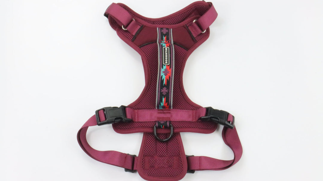 Used Harness