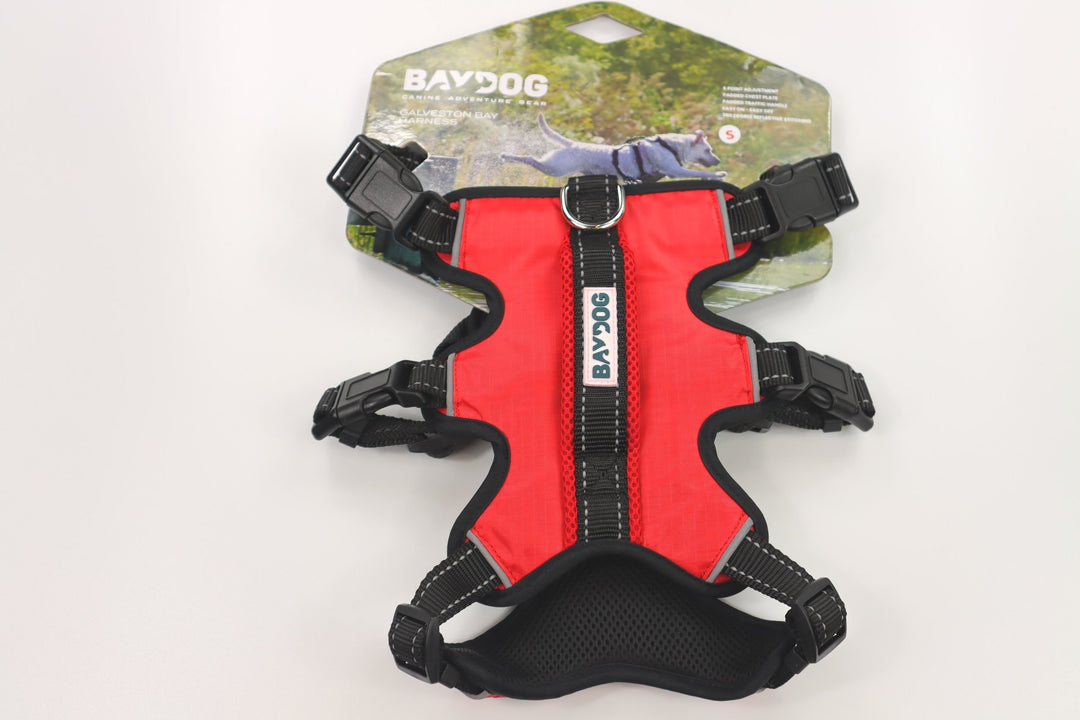 Bay Dog Galveston Bay Harness