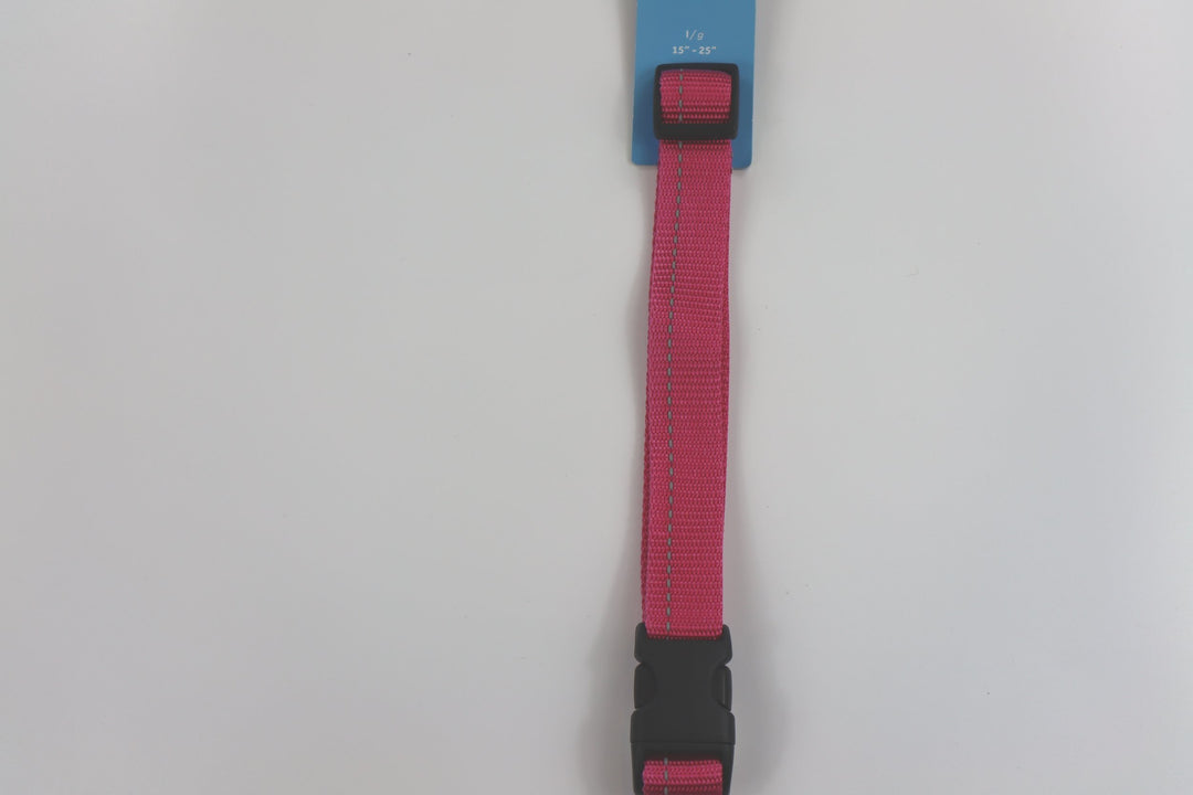 RC Pets Primary Clip Collar