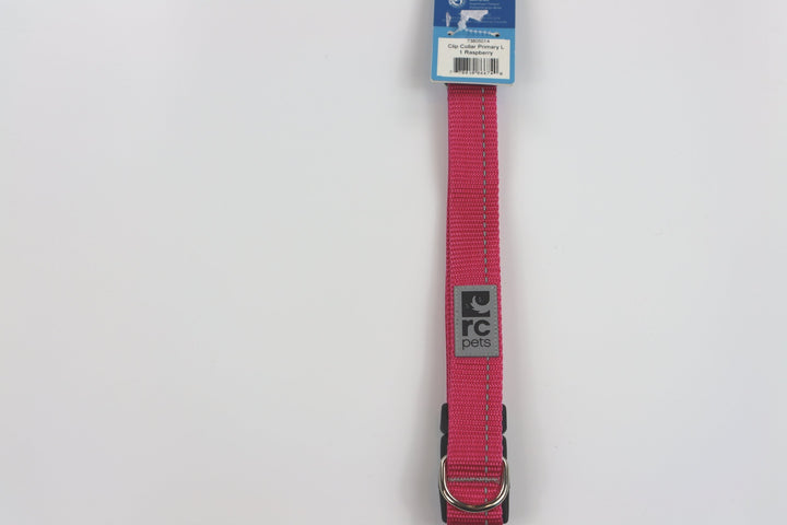 RC Pets Primary Clip Collar