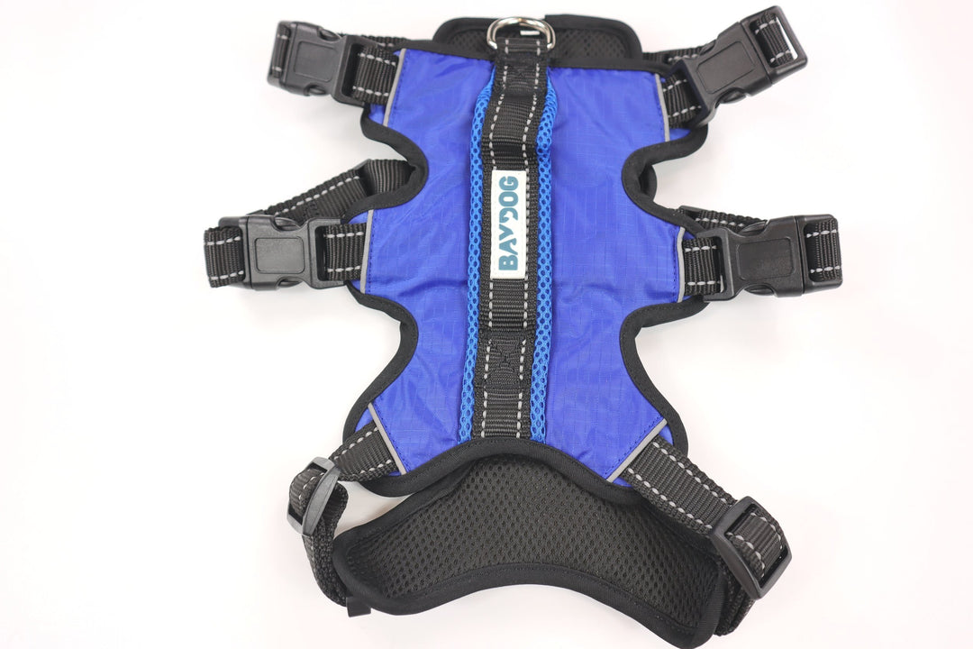 Bay Dog Galveston Bay Harness