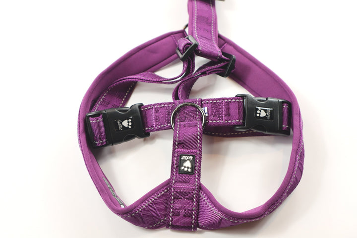 Hurtta Casual Y Harness