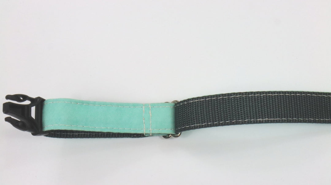 Banded Pines Collar - Gently Traveled (M)