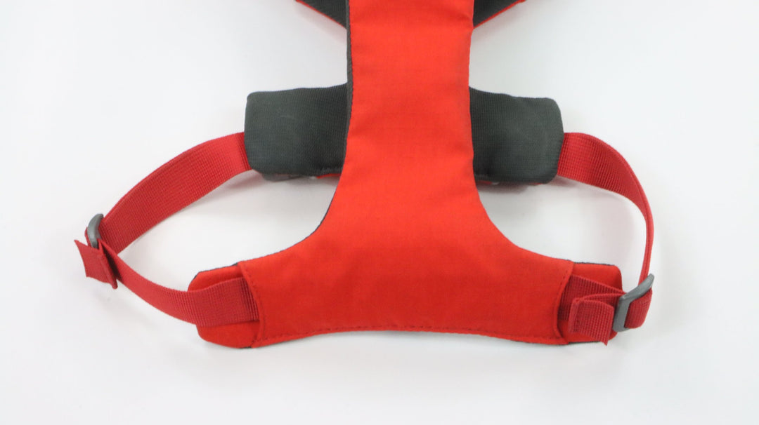 Ruffwear Harness - Newly Traveled (M)