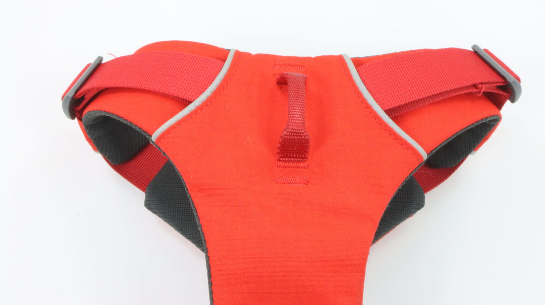 Ruffwear Harness - Newly Traveled (M)