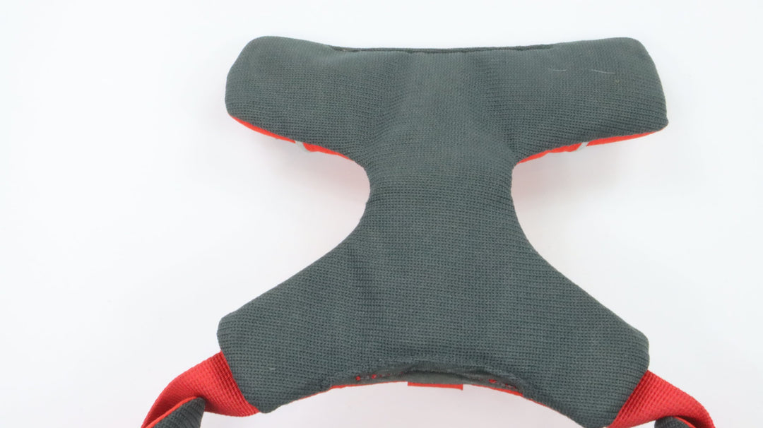 Ruffwear Harness - Newly Traveled (M)