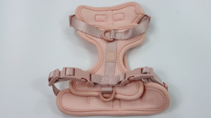 Wild One Harness - Newly Traveled (XS)