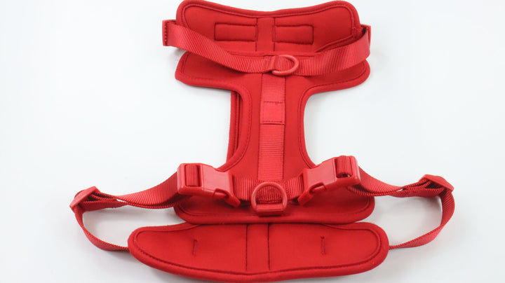 Wild One Harness - Newly Traveled (L)