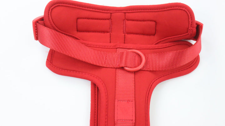 Wild One Harness - Newly Traveled (L)