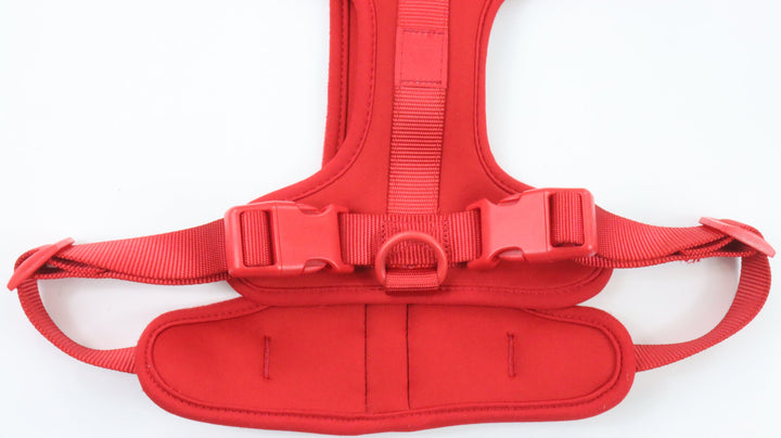 Wild One Harness - Newly Traveled (L)