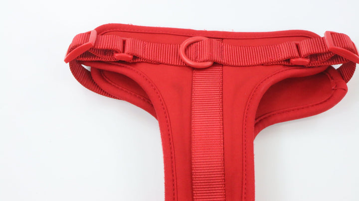 Wild One Harness - Newly Traveled (L)