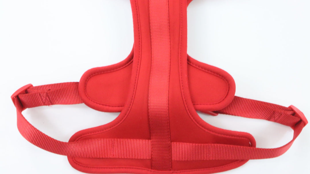 Wild One Harness - Newly Traveled (L)