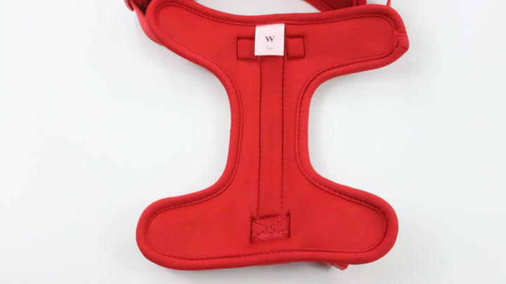 Wild One Harness - Newly Traveled (L)