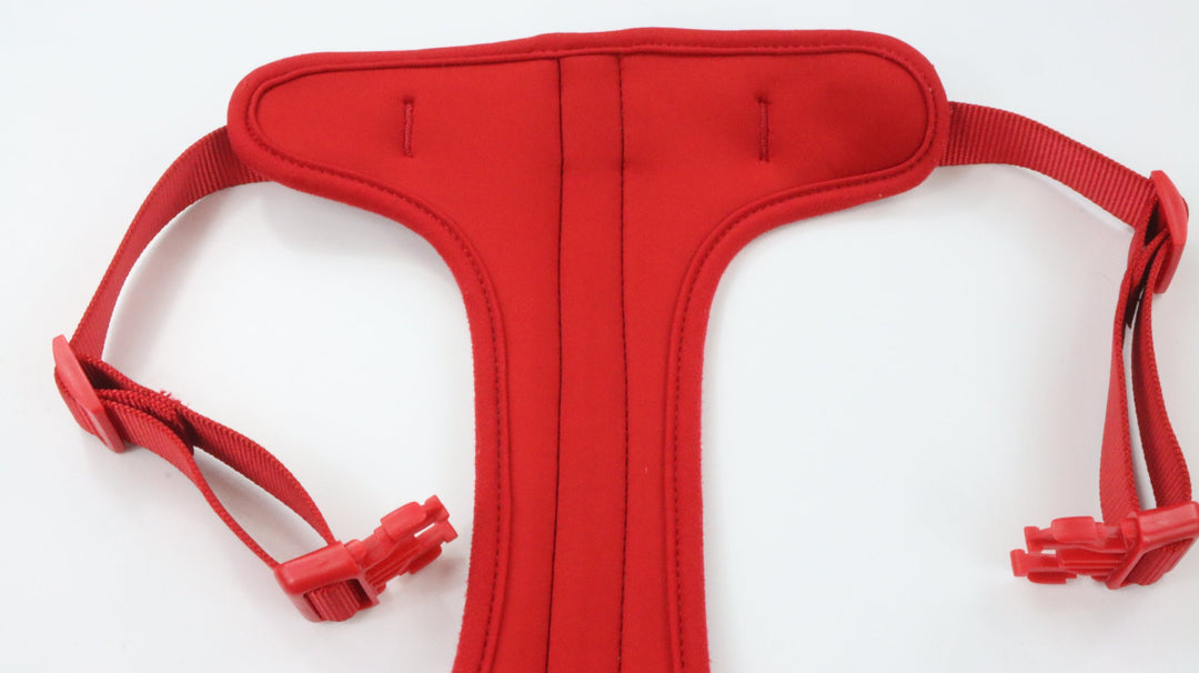 Wild One Harness - Newly Traveled (L)