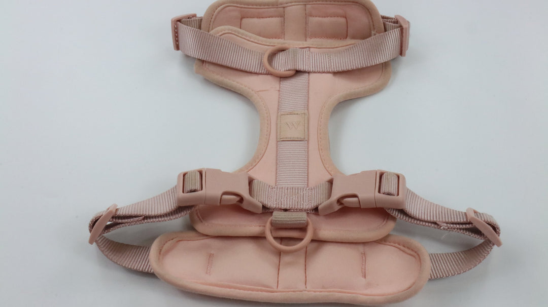 Wild One Harness - Heavily Traveled (M)