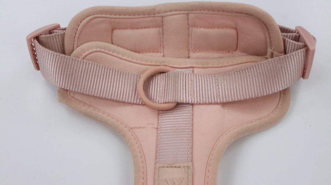 Wild One Harness - Heavily Traveled (M)