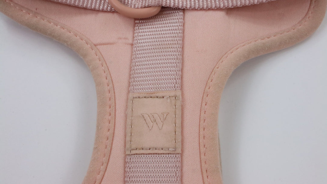 Wild One Harness - Heavily Traveled (M)