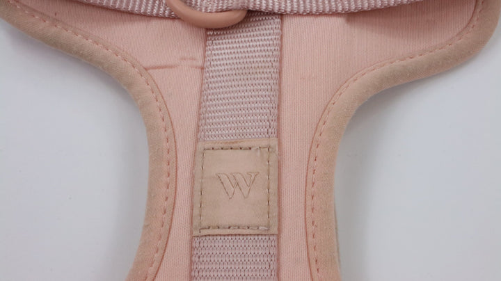 Wild One Harness - Heavily Traveled (M)