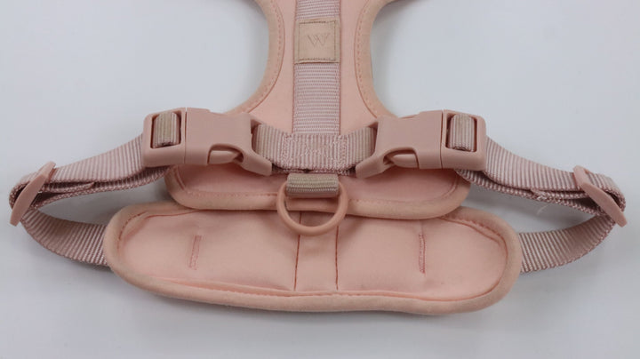 Wild One Harness - Heavily Traveled (M)