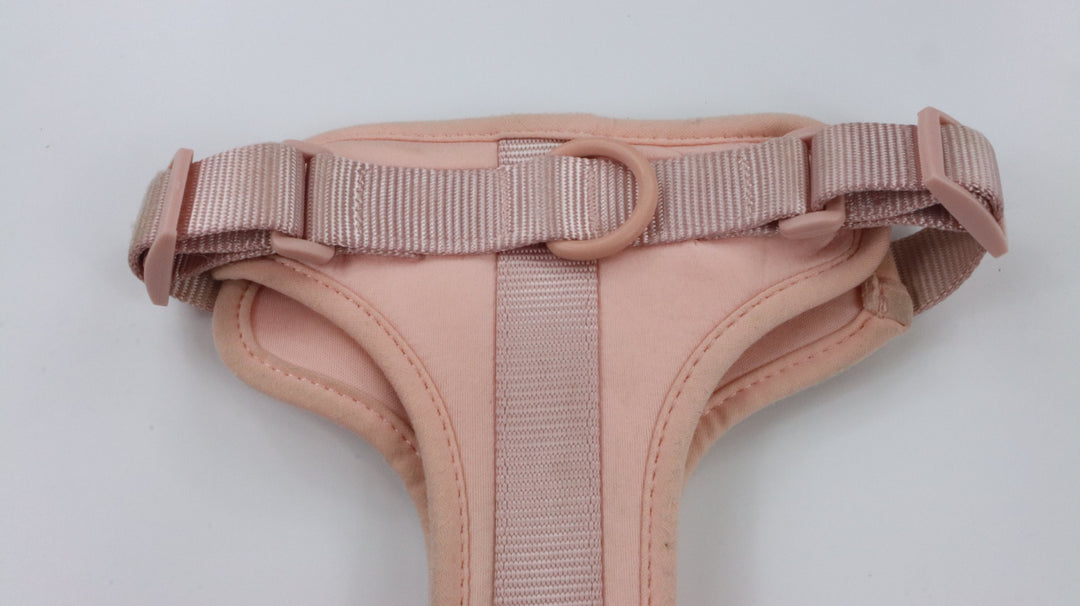 Wild One Harness - Heavily Traveled (M)