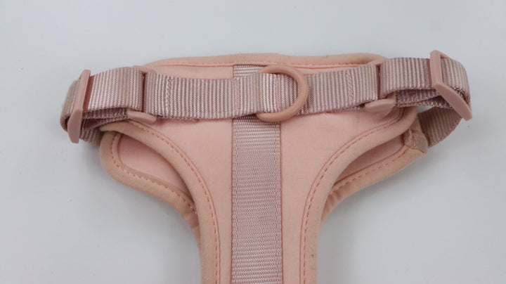 Wild One Harness - Heavily Traveled (M)