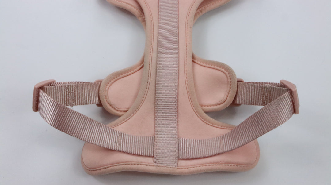 Wild One Harness - Heavily Traveled (M)