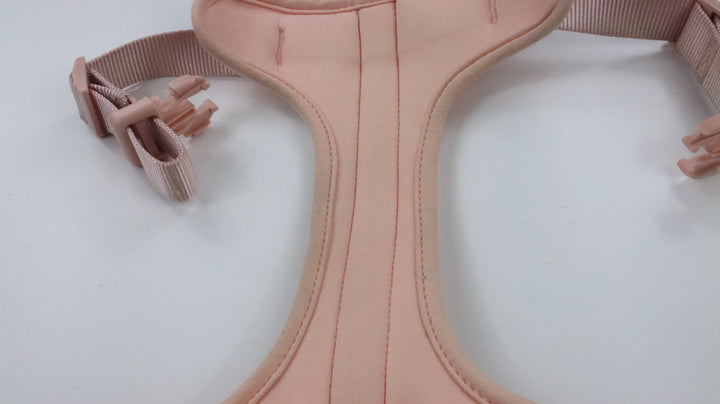 Wild One Harness - Heavily Traveled (M)