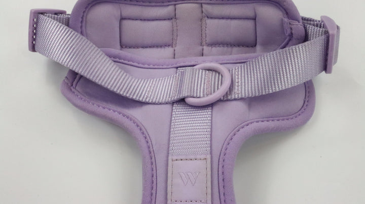 Wild One Harness - Traveled (M)