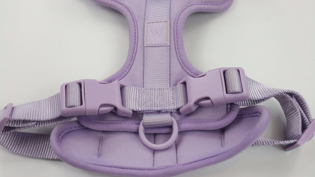 Wild One Harness - Traveled (M)