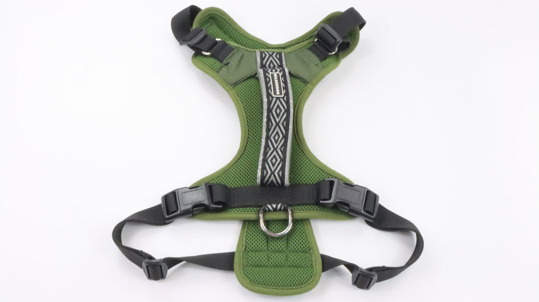 Wilderdog Harness - Traveled (L)