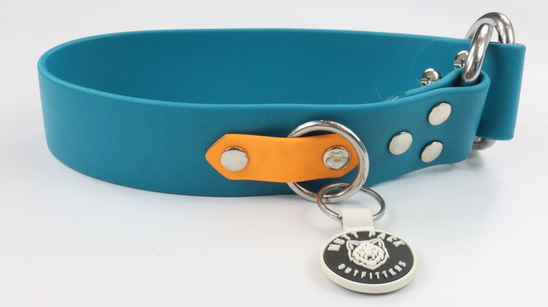 Muttpack Collar - Gently Traveled (16")