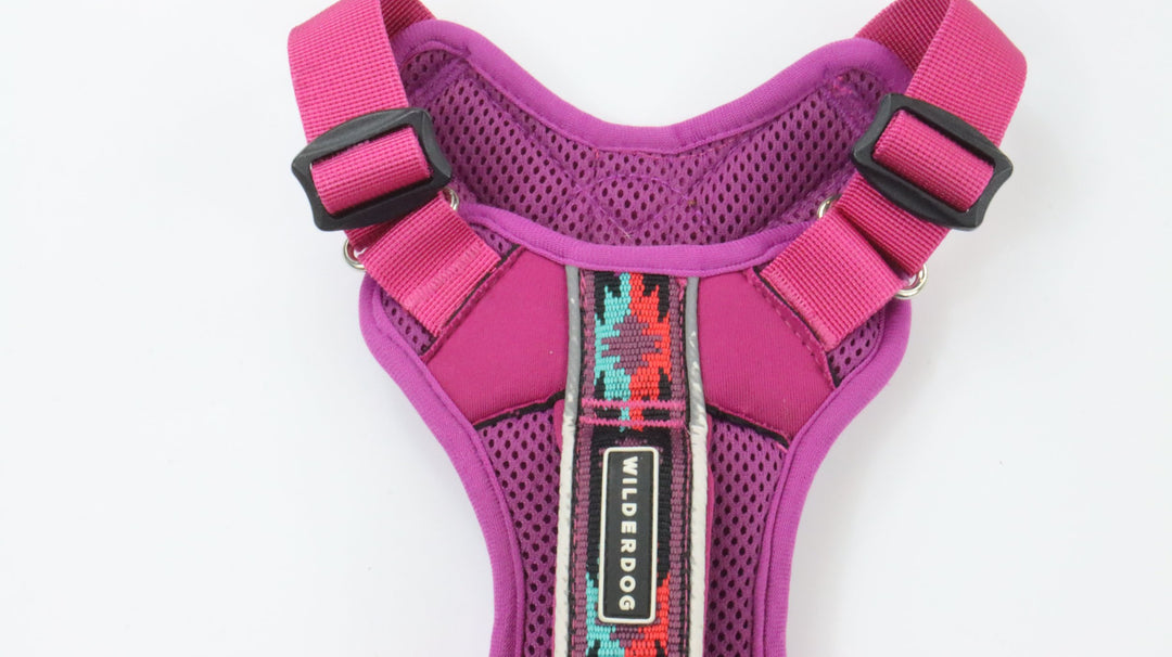 Wilderdog Harness - Traveled (M)