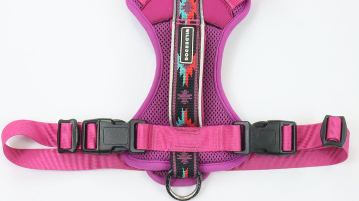 Wilderdog Harness - Traveled (M)