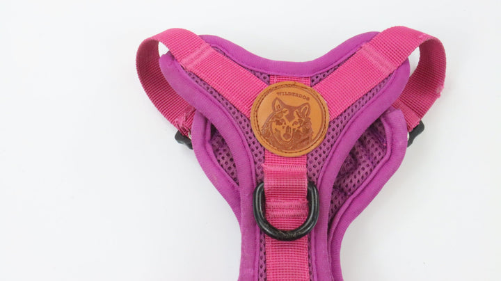 Wilderdog Harness - Traveled (S)