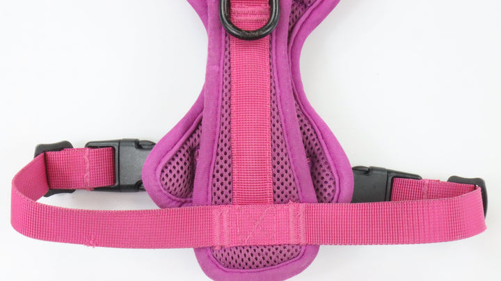 Wilderdog Harness - Traveled (S)