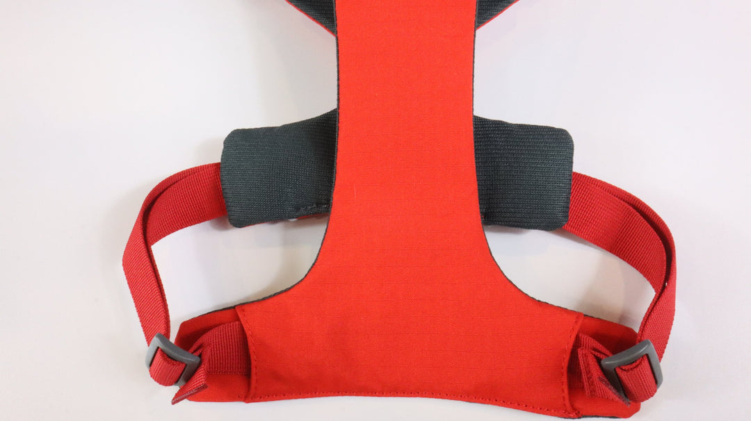 Ruffwear Harness - Newly Traveled (M)