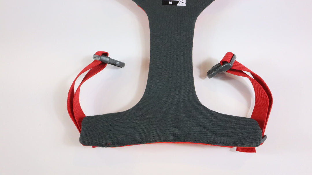Ruffwear Harness - Newly Traveled (M)