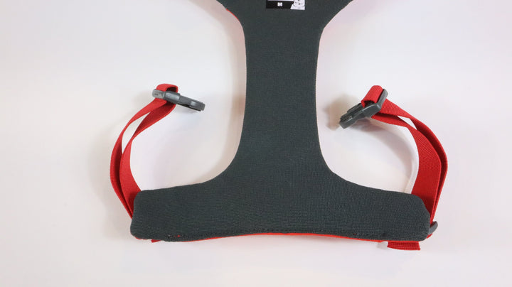 Ruffwear Harness - Newly Traveled (M)