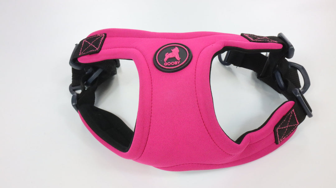 Gooby Harness - Heavily Traveled (L)