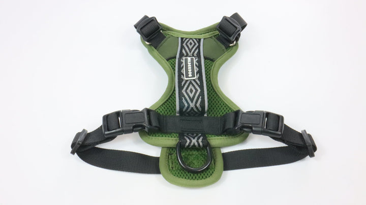 Wilderdog Harness - Gently Traveled (S)