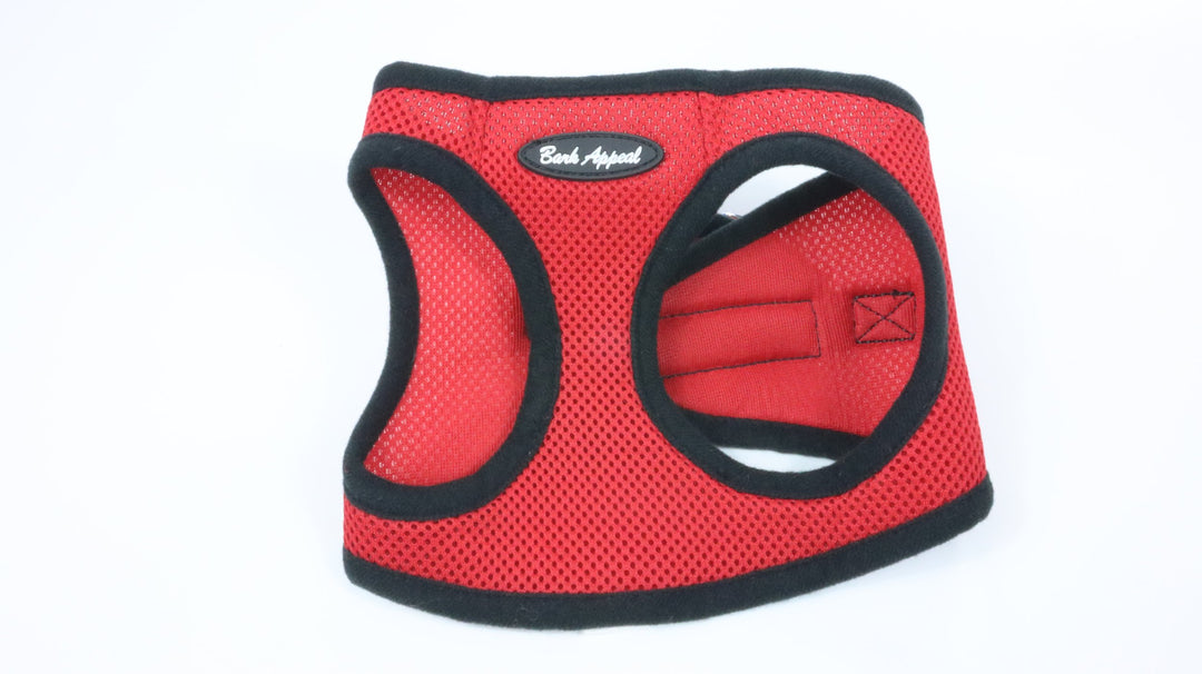 Bark Appeal Harness - Gently Traveled (M)