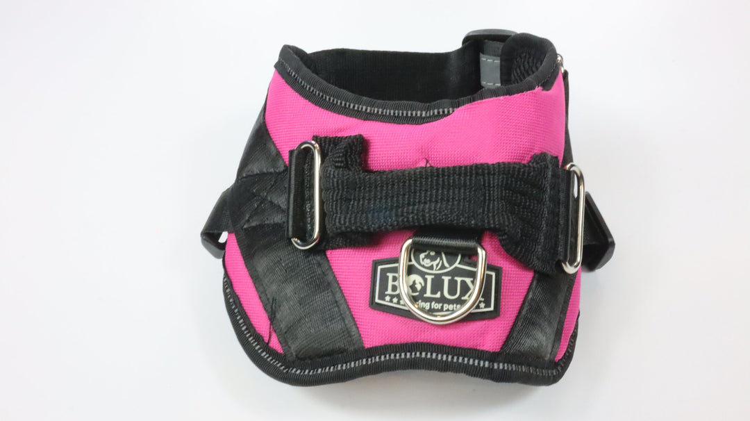 Bolux Harness - Traveled (S)