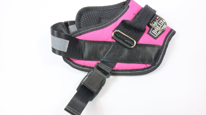 Bolux Harness - Traveled (S)