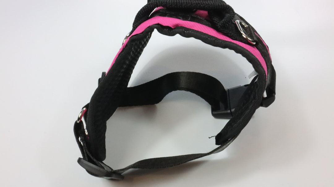 Bolux Harness - Traveled (S)