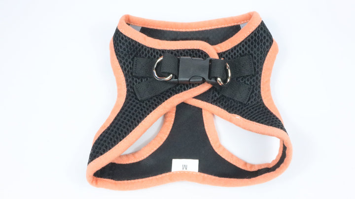 Voyager Harness - Gently Traveled (M)