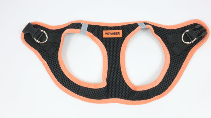 Voyager Harness - Gently Traveled (M)