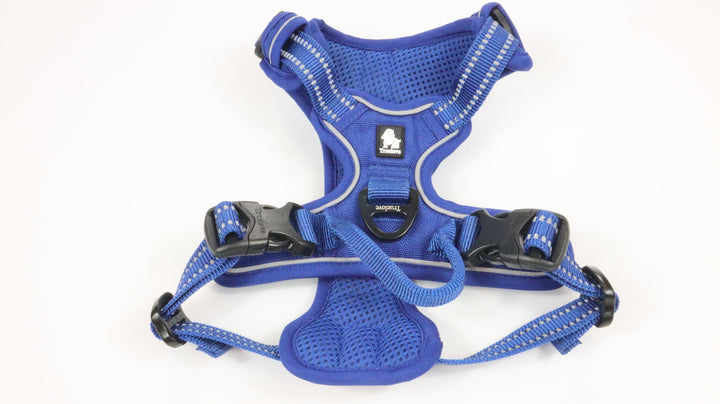 Truelove Harness - Gently Traveled (XS)