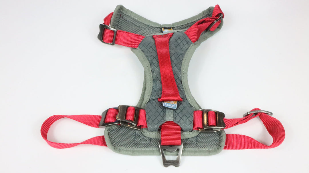 Kurgo Harness - Gently Traveled (M)