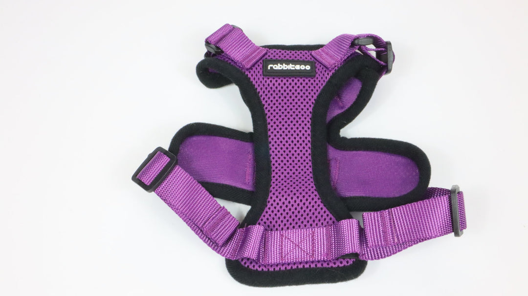 Rabbitgoo Harness - Gently Traveled (XS)