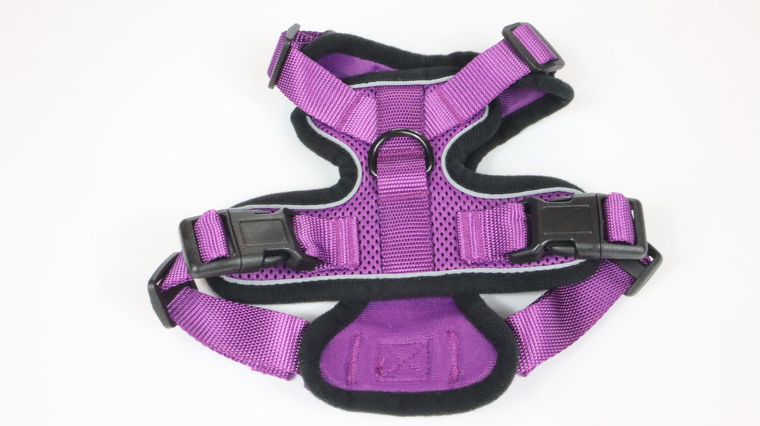 Rabbitgoo Harness - Gently Traveled (XS)